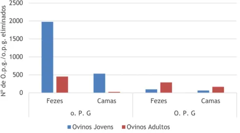 Figura 21 - Número de o.p.g. e O.p.g. nas fezes e nas camas de animais jovens e animais adultos