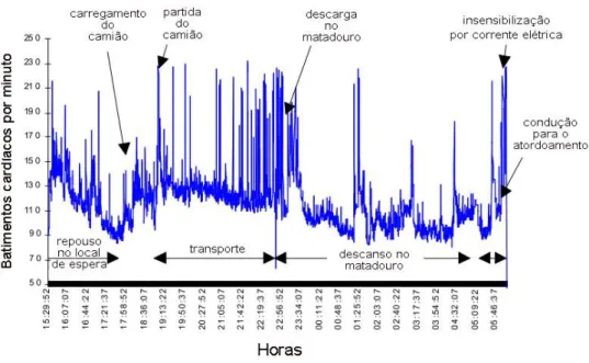 Figura  2  -  Variação  dos  batimentos  cardíacos  desde  o  carregamento  dos  animais  até  à  sua  condução para o atordoamento