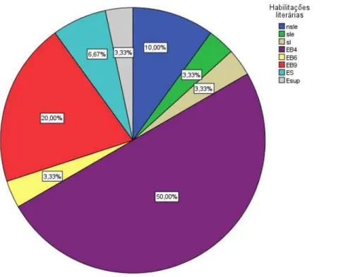 Figura 3. Habilitações literárias dos inquiridos. 