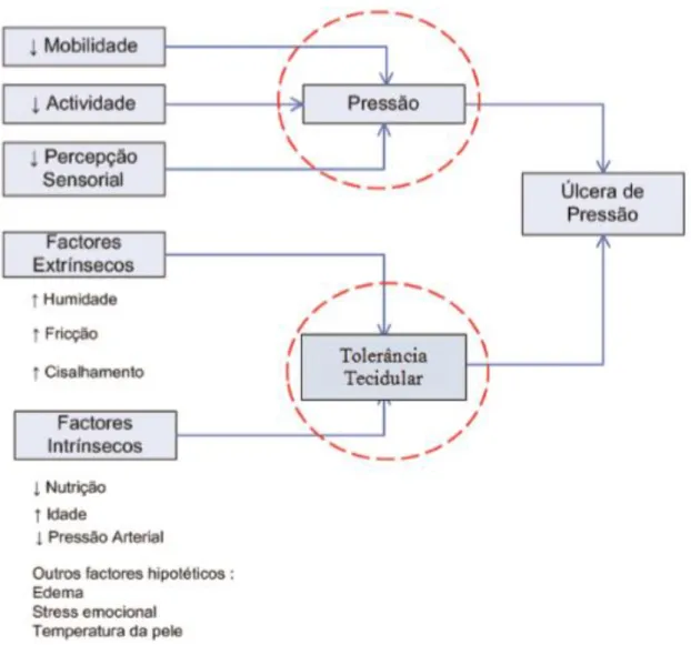 Figura 1 - Esquema conceptual de fatores de risco para o desenvolvimento de LPP 