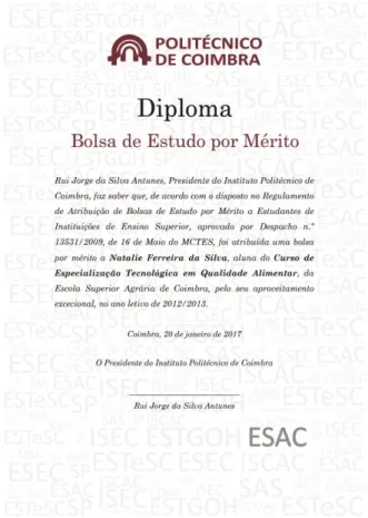 Figura 12: Exemplo do diploma 