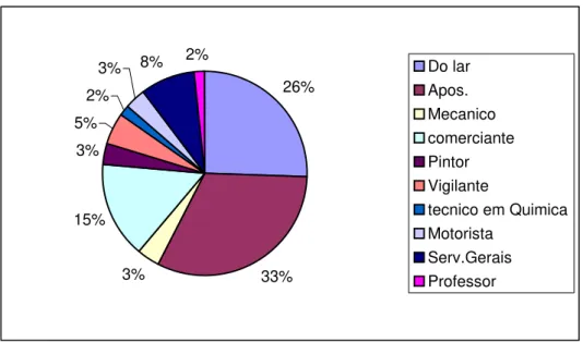 Figura 6 – Tipo de ocupação dos 59 pacientes avaliados no município de Uberlândia-MG. 