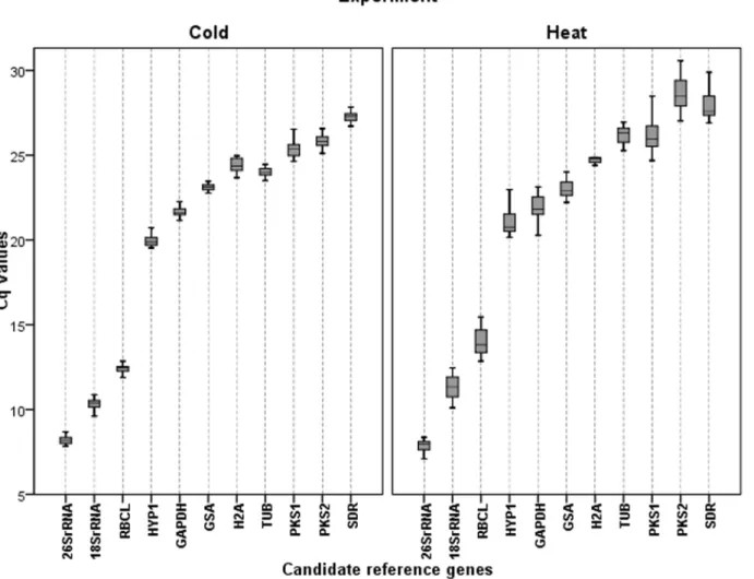 Fig. 1. Range of C q values of the candidate reference genes for each experimental condition