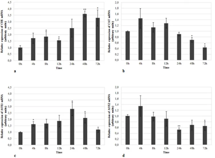 Fig. 3. Relative mRNA expression of target genes in cold-treated samples. Expression of a) CHS, b) CAT , c) AOX1, and d) AOX2 in cold-treated samples using TUB, GSA and GAPDH as reference genes in data normalization