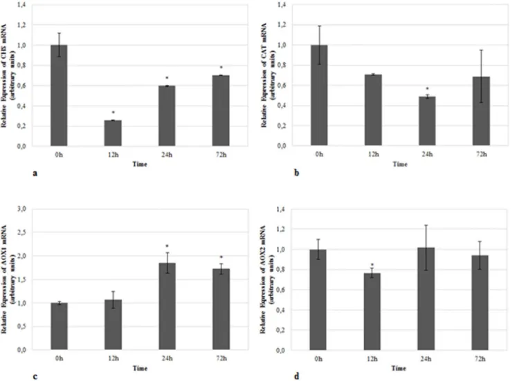 Fig. 4. Relative mRNA expression of target genes in heat-treated samples. Expression of a) CHS, b) CAT , c) AOX1, and d) AOX2 in heat-treated samples using TUB, 26S and H2A as reference genes in data normalization