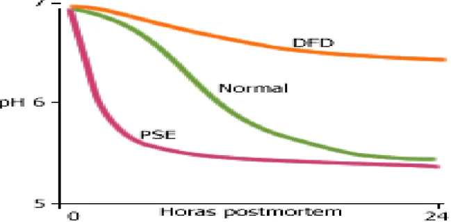Figura 3: Padrão de acidificação nas carnes normais, DFD e PSE. 