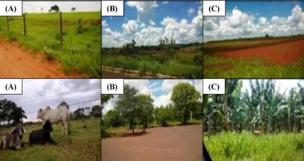 FIGURA  4  -  Uso  e  tipo  do  solo,  relevo  e  vegetação  predominantes  no  entorno  das  escolas do campo monitoradas no presente estudo