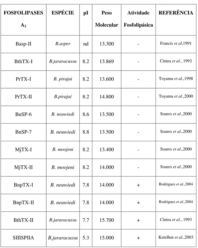 Tabela I: Relação de algumas fosfolipases A 2  Asp-49 e Lys-49 de peçonhas do gênero  Bothrops