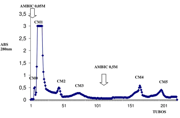 Figura 1: Perfil cromatográfico do fracionamento de 225 mg da peçonha bruta de Bothrops  pauloensis em resina de troca iônica CM-Sepharose Fast Flow (2,0 x 20,0cm), equilibrada  com tampão bicarbonato de amônio 0,05M pH 7,9 e então eluída em gradiente cont