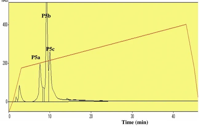 Figura 4: Perfil da cromatografia líquida de alta eficiência em fase reversa da fração P5 em  coluna  Shimadzu  C8