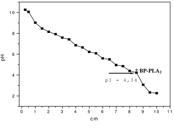 Figura  6:  Curva  padrão  para  a  determinação  do  ponto  isoelétrico  da  BP-PLA 2 