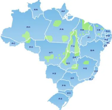 Figura 2: Áreas de babaçuais no Brasil 