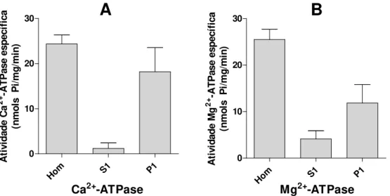 Figura 1: Atividade Ca 2+  e Mg 2+ -ATPase das frações homogeneizada, solúvel  e particulada de larva de P