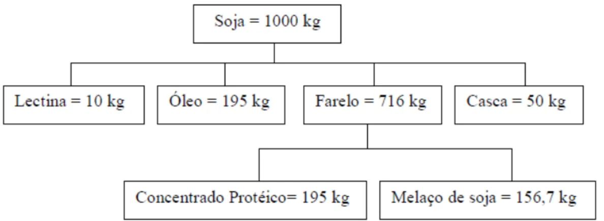 Figura  2.2  -  Fluxograma  do  balanço  de  massa  para  processamento  da  soja  (adaptado  SIQUEIRA, 2007)