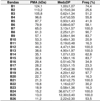 Tabela  4.  Bandas,  Peso  Molecular  Aparente  (PMA),  Média  e  Desvio  padrão  (Med±DP)  da  densitometria  relativa  e  a  freqüência  de  cada  banda  (Freq)  em  touros  da  raça  Nelore,  Uberlândia-MG