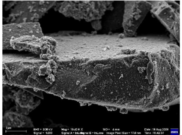 FIGURA  12  –   Fotomicrografia  obtida  por  microscopia  eletrônica  de  varredura  por  emissão  de  campo  do  TiO 2   contendo  íons  prata,  obtido  via  macroemulsão  com  o  surfactante Triton X-100, obtido na segunda geração de síntese