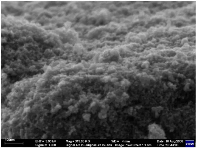 FIGURA 13  –  Fotomicrografia obtida por microscopia eletrônica de varredura com  emissão de campo, para o TiO 2  contendo íons prata, obtido via macroemulsão com  o  surfactante  Triton  X-100,  obtido  na  segunda  geração  de  síntese