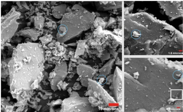 FIGURA 14 –  Fotomicrografia obtida por microscopia eletrônica de varredura de pós  de TiO 2 , obtidos via adição de H 2 O 2  ao gel precursor