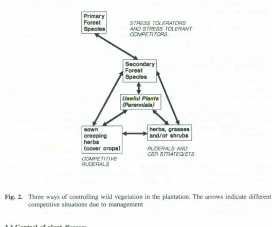 Fig. 2. Three ways of controlling wild vegetation in the plantation. The arrows indicate different competi tive situations due to management