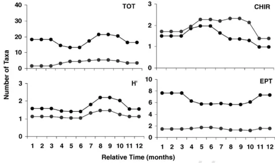 Fig. 4. Model simulations for Chironomidae (CHIR), EPT, total number of taxa (TOT) and Shannon–Wiener index (H  ) facing two different scenarios: scenario 1, the reference condition in 1985 (black line) and scenario 2, the perturbed condition in 1995 (grey