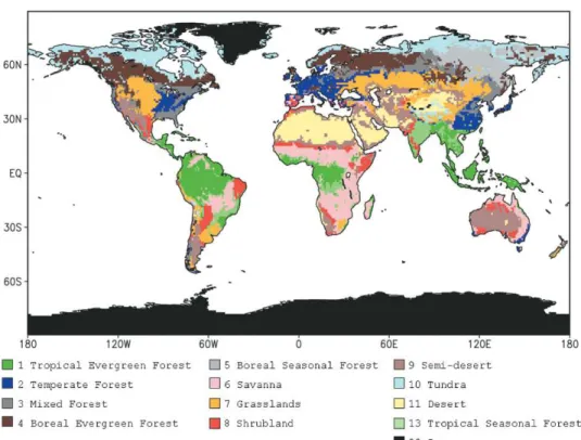 Fig. 2 – The new global natural vegetation map under LONS08 classification.
