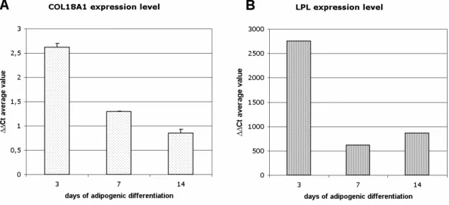 Fig. 2 – A) Quantitative real time PCR showing expression of COL18A1 during human adipogenic differentiation in vitro