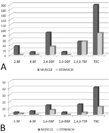 Fig. 2 – Bromophenol concentrations and TBCs in the muscle and stomach of L. synagris collected in winter (A) and summer time (B).