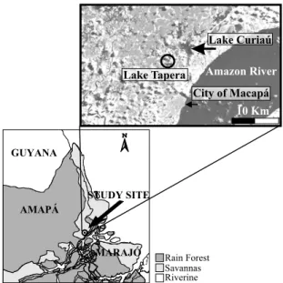 Fig. 1 – Map of the study area, showing the location of Lakes Curiaú and Tapera (the studied lake), the city of Macapá, and the Amazon River.