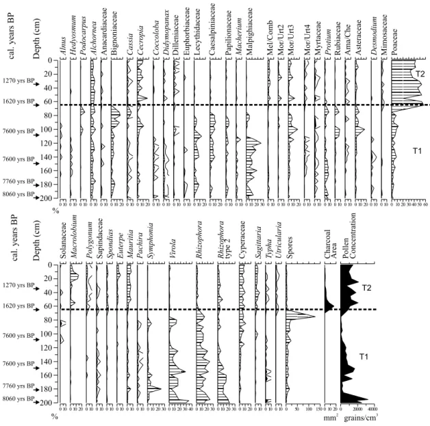 Fig. 4 – Pollen percentage diagram of Lake Tapera, Amapá (Brazil), showing the most representative taxa, including Andean taxa, area of charcoal particles (mm 2 /cm 3 of sediment), pollen concentration (grains/cm 3 of sediment), and radiocarbon dates (cal