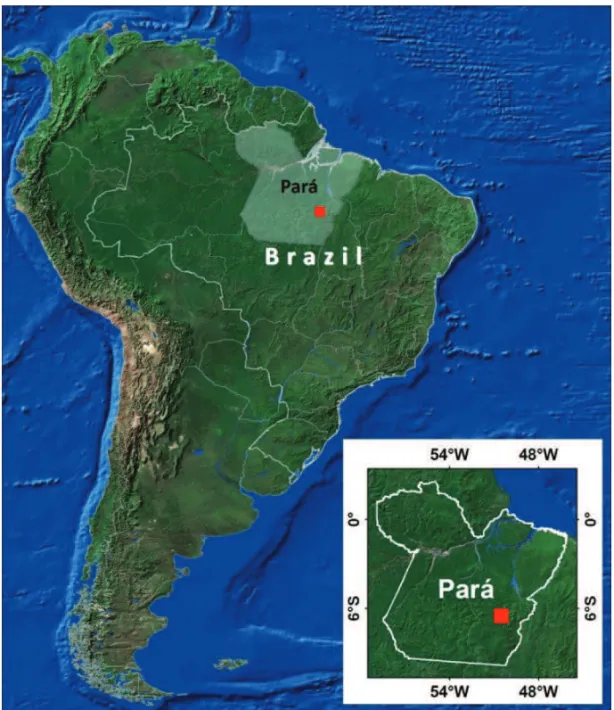 Fig. 1 – Location of the study area in the Pará State.