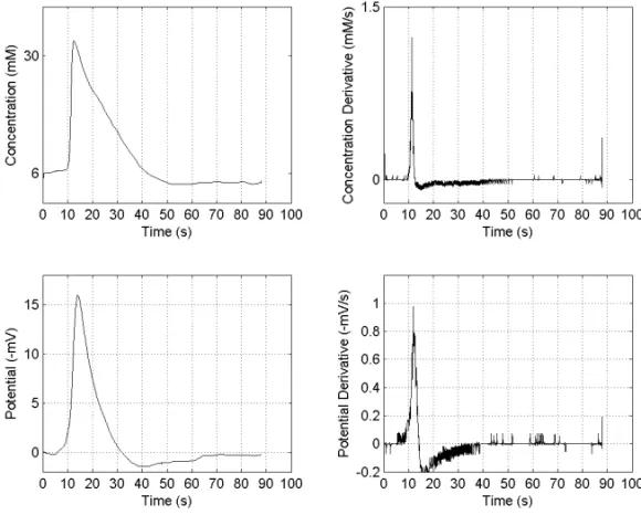 Fig. 1 – Typical record of electrophysiological wave concomitants at the inner plexiform layer of chick retina