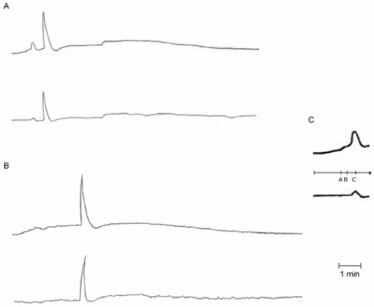 Fig. 2 – A – Upper row: extra-cellular potassium concentration versus time, lower row: simultaneous extra-cellular potential (mV) versus time.