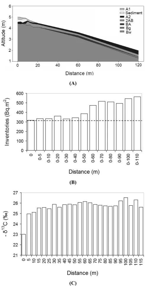 Fig. 1 – (A) Bi-dimensional soil horizon distribution within the forest transect (FT) segment determined with the aid of morphological and micro-morphological analyses
