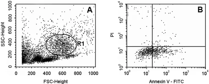 Fig. 1 – Flow cytometry analysis. (a) Typical side- (SSC) and forward- angle light scatter (FSC) cytogram of a lysed whole blood sample showing the R1 gate that corresponds to neutrophils