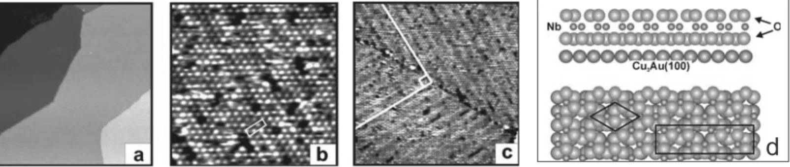 Fig. 8 – STM images of the niobia film grown on Cu 3 Au(100). (a) Large terraces separated by steps of ∼ 2Å in height