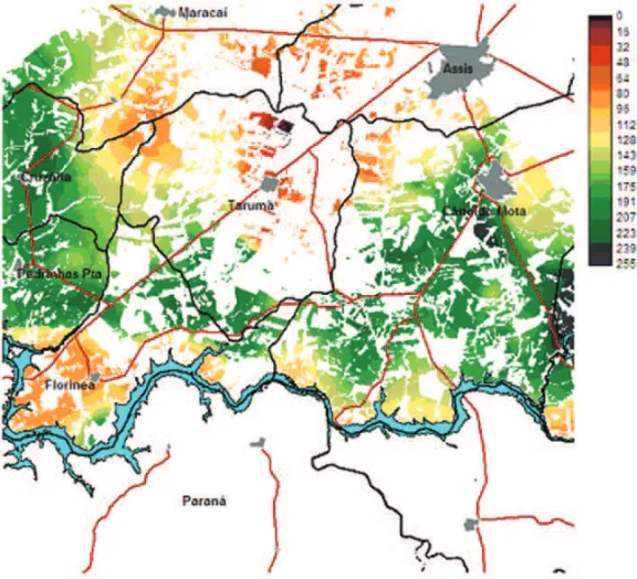 Fig. 4 – Map of operational quality of winter corn crops (zero (0) represents the crop of worst operational quality and 255 the one of best operational quality).