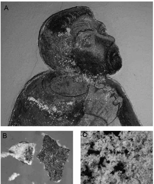 Fig. 4 – Detail of the fresco Supper at Emmaus with efflorescence features (A). Fragment of pictorial layer with subefflorescence (B), photo width = 3 mm