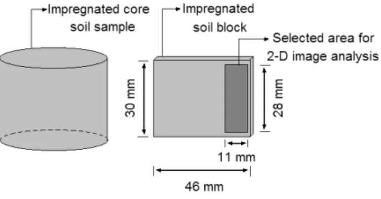 Fig. 1 – Schematic diagram of the soil block (4.6 × 3.0 cm 2 ) used for 2-D micromorphologic image analysis.