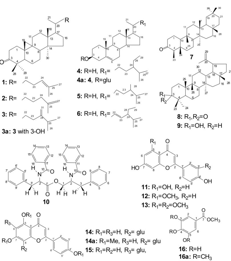 Fig. 2 – Structures of compounds isolated from Piptadenia gonoacantha, “pau jacaré”.