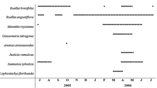 Fig. 3 – Flower density in riparian and semi-deciduous forests at Serra da Bodoquena from June 2005 to July 2006.