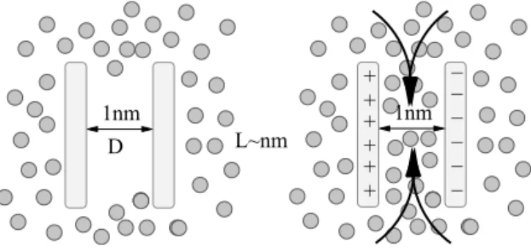 Fig. 1 – Sketch of a hydrophobic plate-like confinement on nanometer scales. Left: the plates trigger capillary evaporation and the region  be-tween the two plates is devoid of water (nanobubble)