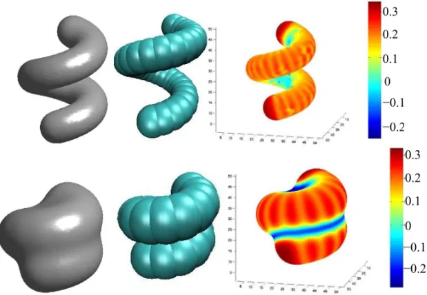 Fig. 5 – A comparison of the level-set (left) and SAS (middle) description of helical polymer chains with 32 atoms (above) and 22 atoms (below), respectively
