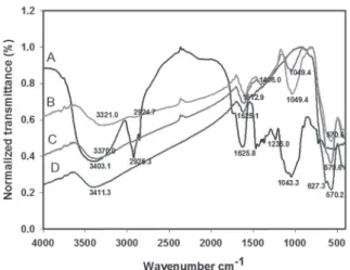 Fig. 1 - Infrared spectra of P. pendula gum (A), magnetized  gum using 0.500 mg/mL (B) and 0.100 mg/mL (C) of the gum  and magnetite (D).