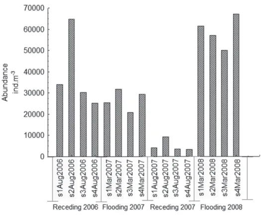 Figure 4 - Total abundance (ind.m -3 ) of rotifers during fl ooding (August) and receding (March) phases  of two consecutive years in all the sampling stations (s1, s2, s3 and s4).