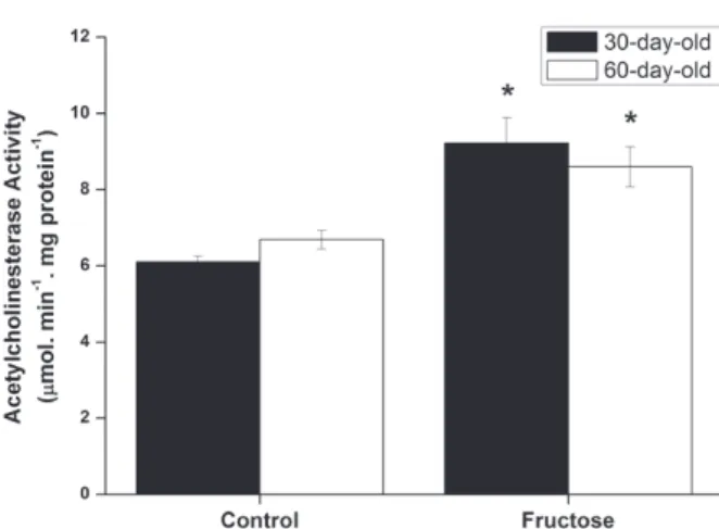 Figure 2 - Effect of acute fructose administration (5 µmol/g)  on acetylcholinesterase activity in cerebral cortex from  30-day-old rats (black bars) and 60-day-old rats (white bars)