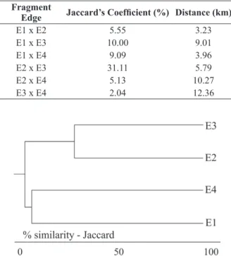 Figure 2 -   Dendrogram  of  floristic  similarity  between  four  fragment edges of the Atlantic rainforest at Baturité massif,  state of Ceará, Brazil