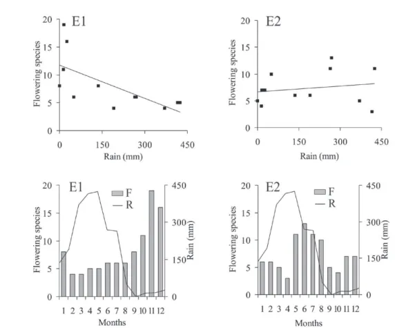 Figure 3 - Dendrogram of dispersion and flowering chronology of the plant species surveyed at edges E1 and E2 of the Atlantic  rainforest at Baturité massif, state of Ceará, Brazil