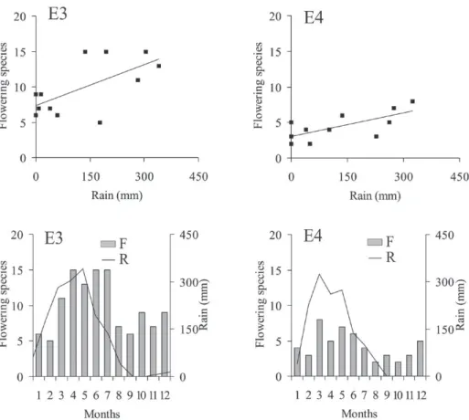 Figure 4 -  Dendrogram of dispersion and flowering chronology of the plant species surveyed at edges E3 and E4 of the Atlantic  rainforest at Baturité massif, state of Ceará, Brazil
