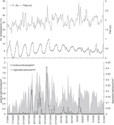 Figure 1 - Ucides cordatus. Daily variation in density (ind./m ² ) of  active individuals, frequency of agonistic pairs, and air temperature  and tidal variation at Iguape, São Paulo