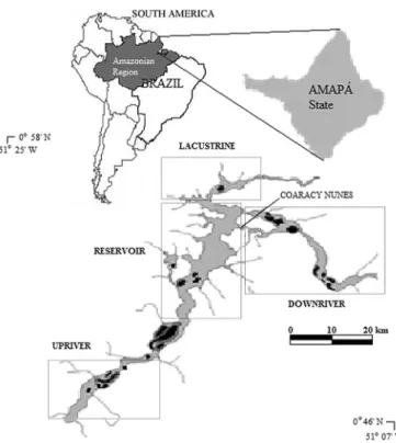 Figure  1  - Study region localization of Coaracy Nunes Reservoir. 